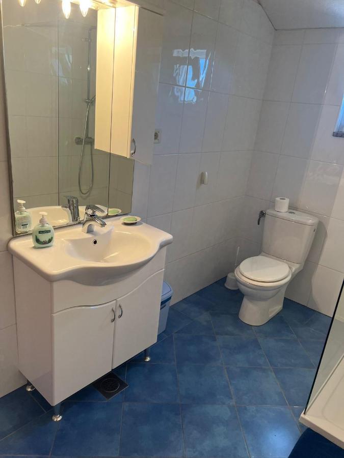 Villa Paludo Novigrad  Bagian luar foto