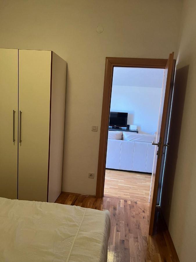 Villa Paludo Novigrad  Bagian luar foto