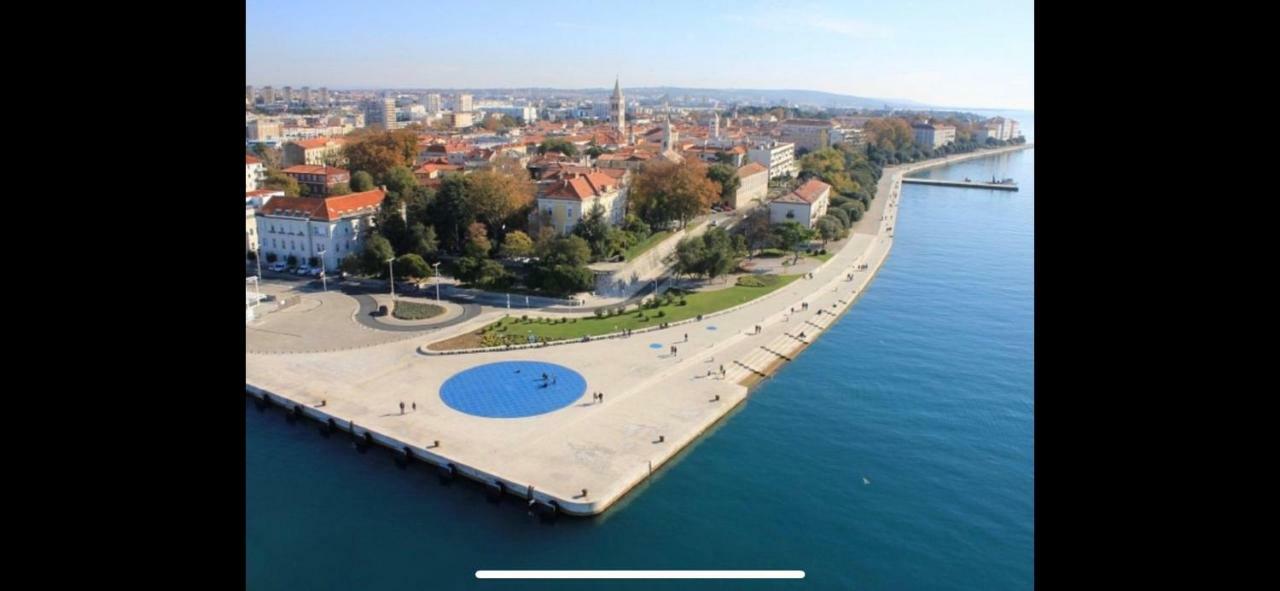 Villa Paludo Novigrad  Bagian luar foto