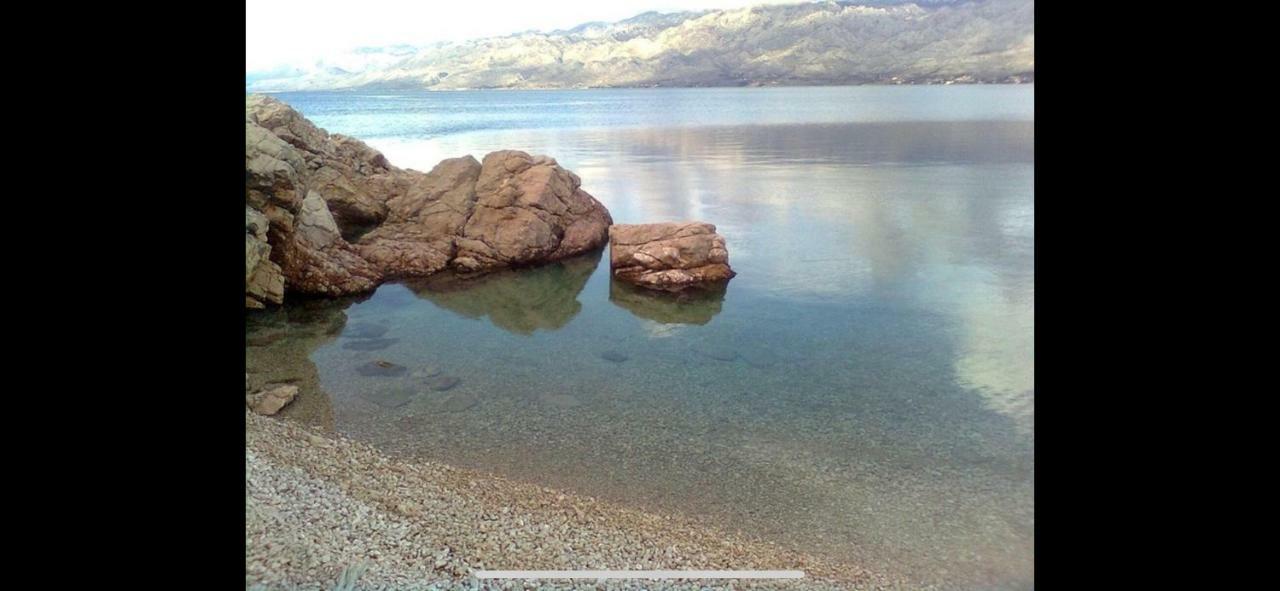 Villa Paludo Novigrad  Bagian luar foto